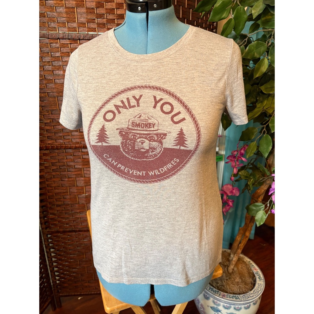 Smokey Bear Only You Can Prevent Wildfires Graphic Tee Gray Large J111112B